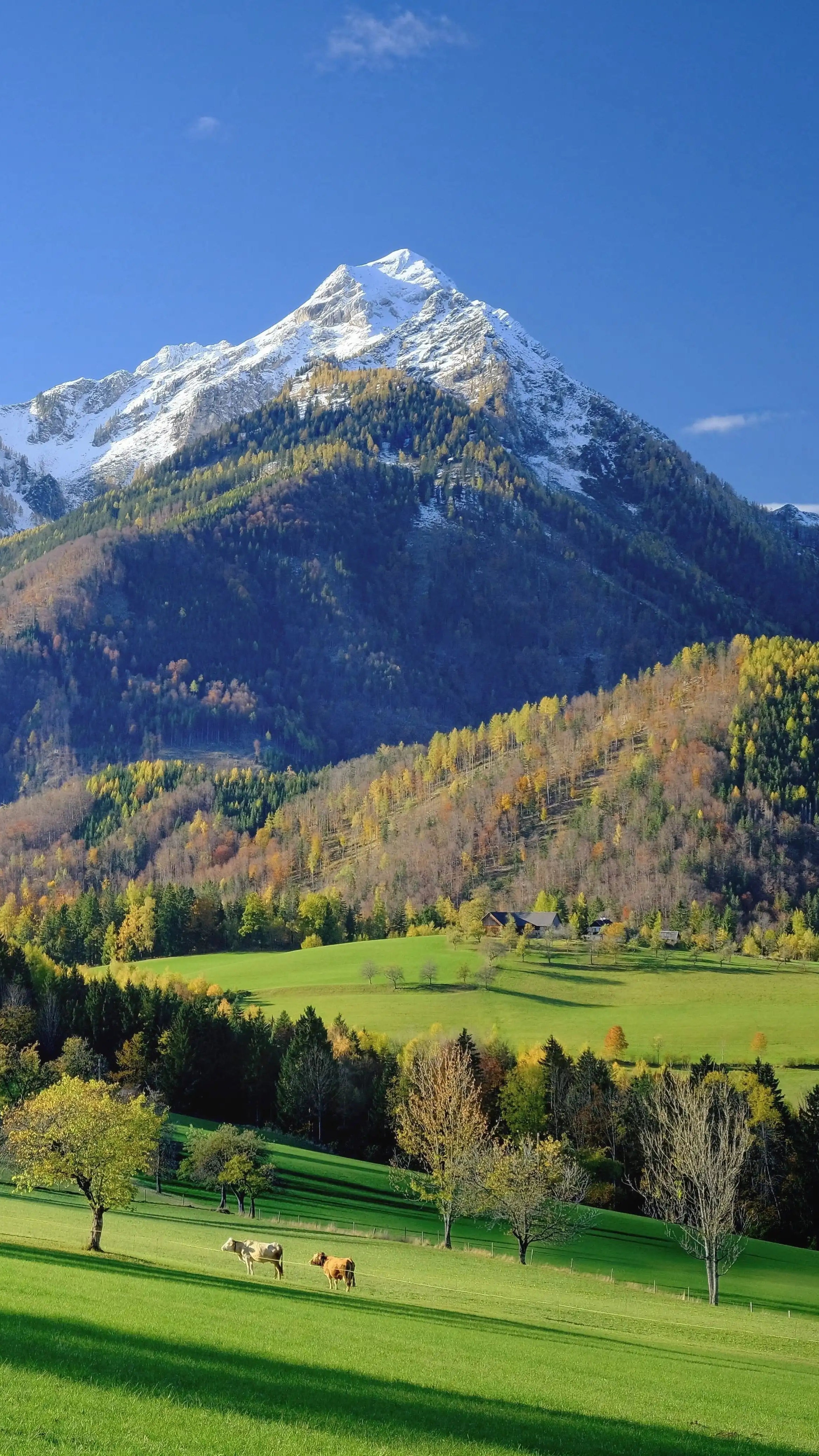 banner_mobile_def.webp